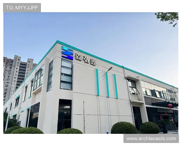 凯发正规旗舰平台的技术保障措施，确保游戏运行的稳定性与流畅性