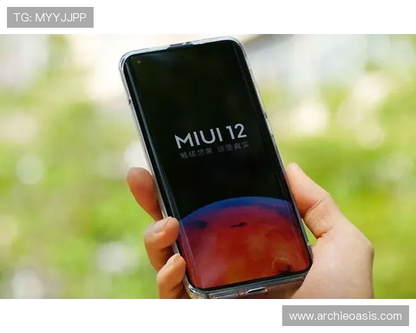 K8中国官方网站的升级与维护策略，确保系统持续优化与功能不断完善